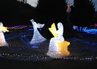京都イルミエールの写真・動画_image_52505