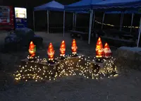 京都イルミエールの写真・動画_image_52506