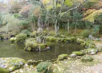 竹林院の写真・動画_image_52577