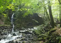 雄滝の写真・動画_image_52713
