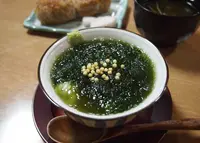 ぽうちゃたつやの写真・動画_image_52882