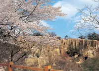 阿波の土柱の写真・動画_image_53082