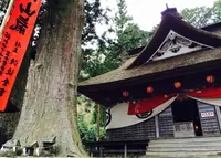 精進の大杉の写真・動画_image_53356