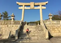天と海と菓子とＳＡＮＰＯＵの写真・動画_image_53542