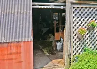 陽子の手作りヨーグルトの写真・動画_image_54381