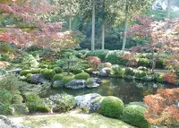 三室戸寺の写真・動画_image_55486