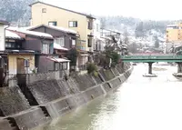 宮川朝市の写真・動画_image_55963