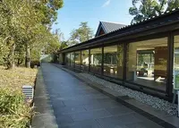伊勢神宮外宮（豊受大神宮）の写真・動画_image_56064