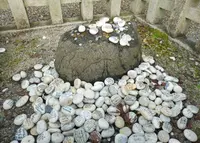 多賀大社の写真・動画_image_56201