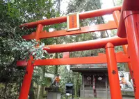 多賀大社の写真・動画_image_56208