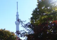 本龍院（待乳山聖天）の写真・動画_image_56603