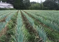 猿渡の写真・動画_image_56805