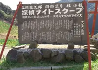 立川水仙郷の写真・動画_image_57137