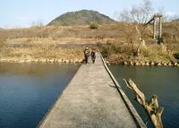 沈下橋の写真・動画_image_57988