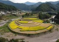 あらぎ島の写真・動画_image_58043