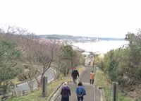 津門神社の写真・動画_image_58189