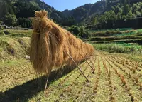 鮎の瀬交流館の写真・動画_image_60227