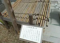 岡崎城の写真・動画_image_60302