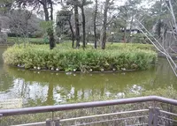 妙正寺公園の写真・動画_image_60351