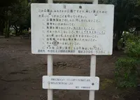 妙正寺公園の写真・動画_image_60352