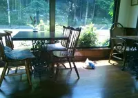 波賀町日見谷２７３の写真・動画_image_61262