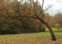 都立野山北・六道山公園 里山民家の写真・動画_image_61707