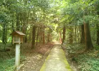 伊和神社の写真・動画_image_61718
