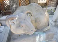 湯島天満宮（湯島天神）の写真・動画_image_62253