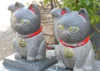 今戸神社の写真・動画_image_62260