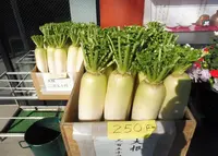 本龍院（待乳山聖天）の写真・動画_image_62261