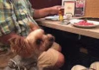 うしすけ 台場店の写真・動画_image_62747