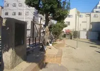 京かい道筋商店街の写真・動画_image_62834