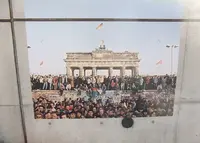 ドイツ連邦共和国大使館の写真・動画_image_62906