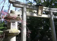 北野天満宮の写真・動画_image_65007