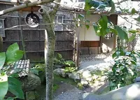 北野天満宮の写真・動画_image_65125