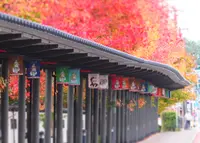 堀川遊覧船の写真・動画_image_65880