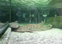 ＮＩＦＲＥＬの写真・動画_image_66440