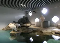 ＮＩＦＲＥＬの写真・動画_image_66441