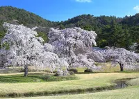 広沢池の写真・動画_image_66469