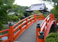 神泉苑の写真・動画_image_67303