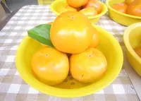 イチゴランド カプリの写真・動画_image_67758