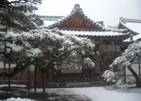 銀閣寺(東山慈照寺)の写真・動画_image_67999