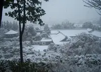 銀閣寺(東山慈照寺)の写真・動画_image_68000