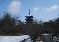 仁和寺の写真・動画_image_68002