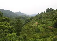 ドーシェルの写真・動画_image_68215