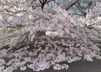 門前仲町駅の写真・動画_image_68342