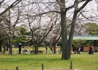中津万象園・丸亀美術館の写真・動画_image_70860