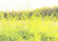 国吉駅の写真・動画_image_72448