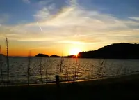 ベネッセハウス ミュージアムの写真・動画_image_73201