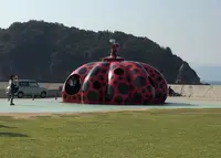 宮浦港の写真・動画_image_73211